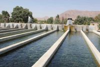 ۱۳ هزار تن ماهی قزل آلا در کرمانشاه تولید شد