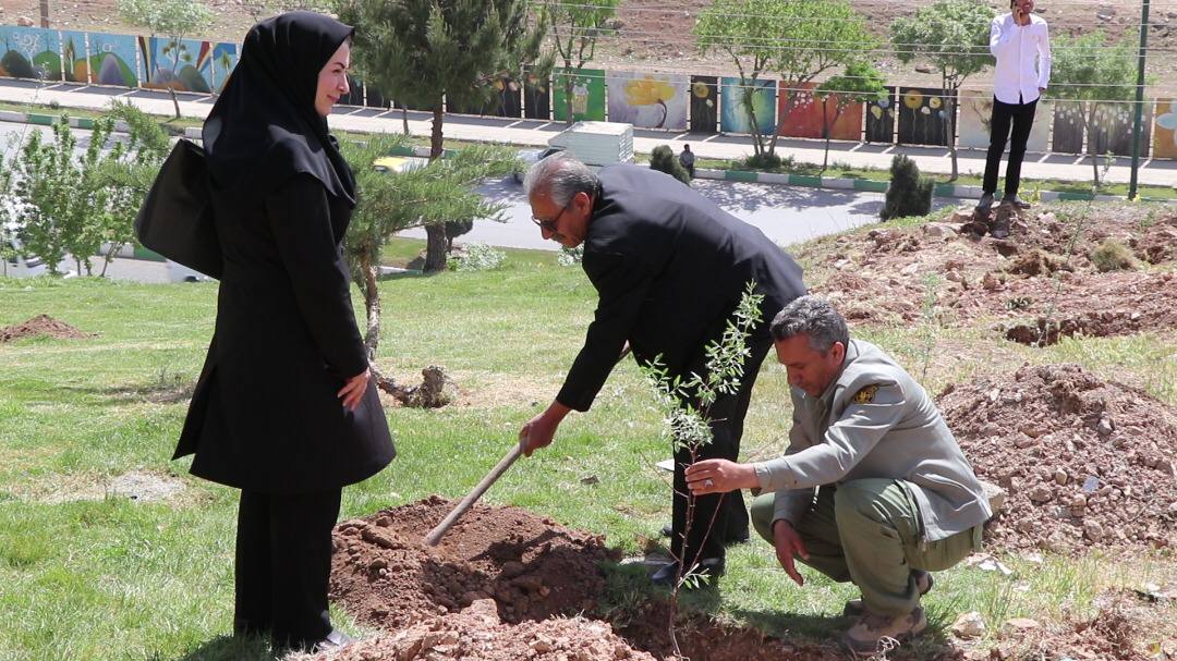پویش کاشت درخت یادبود در کرمانشاه برگزار شد