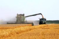 ۲۵۷ هزار تن گندم از کشاورزان کرمانشاه خریداری شد